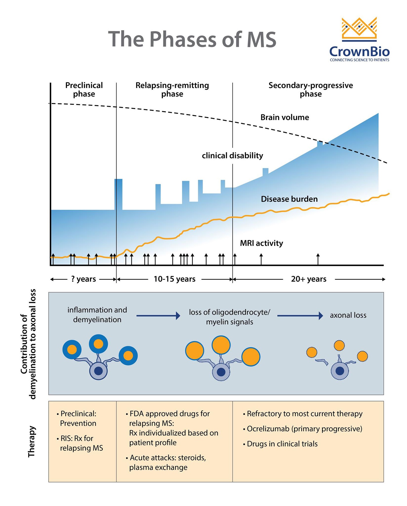 Mouse Models of Multiple Sclerosis