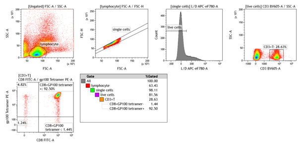 Tumor Antigen Targets for Personalized Adoptive T Cell Therapies