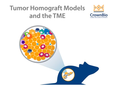 The tumor microenvironment in orthotopic tumor homograft models