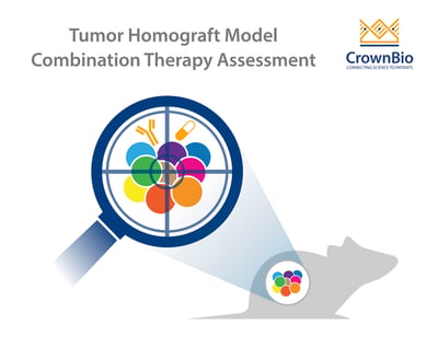 Representative preclinical tumor homograft model for assessing combination therapies including immunotherapy and targeted agents