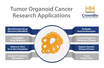 tumor organoid applictions cancer research