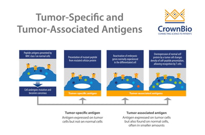 the difference between tumor specific antigens and tumor associated antigens based on tumor and normal cell expression