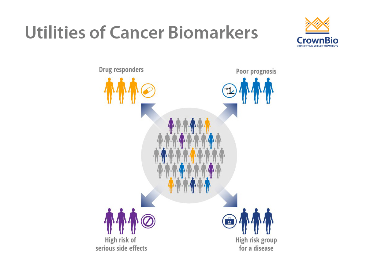 Cancer Biomarkers: Improving Detection And Treatment