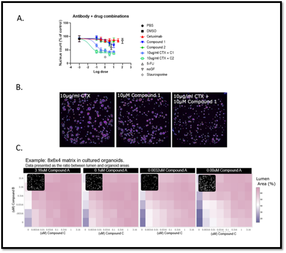 MultiDrug Combination Strategies in High Content Applications