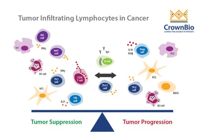 tumor infiltrating lymphocytes TILs, immunoprofiling, tumor progression, tumor suppression, immune profiling, CD4, CD8, TAM