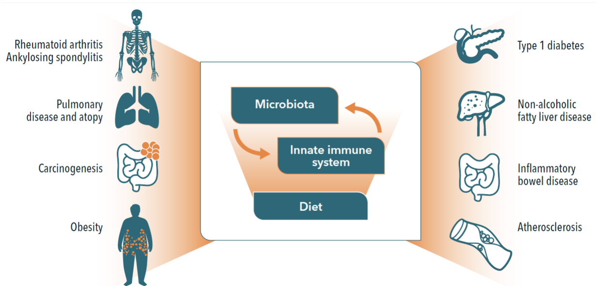 Applications of low coverage sequence data to genomics of species