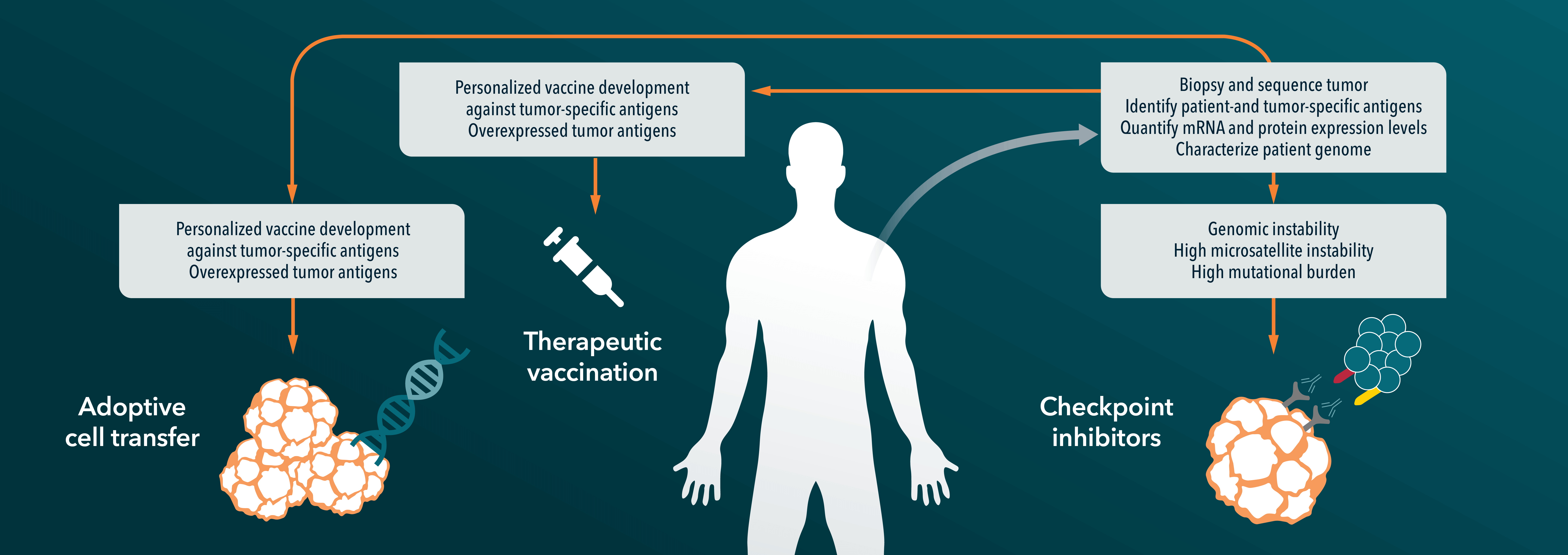 The Progress of Precision Medicine in Immuno-Oncology