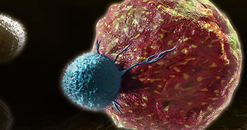 Mouse-IO-RNA-Seq-Panel