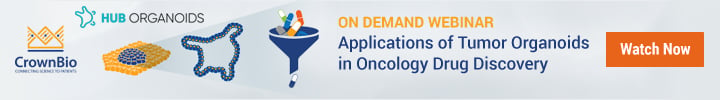 webinar on applications of tumor organoids in oncology drug discovery