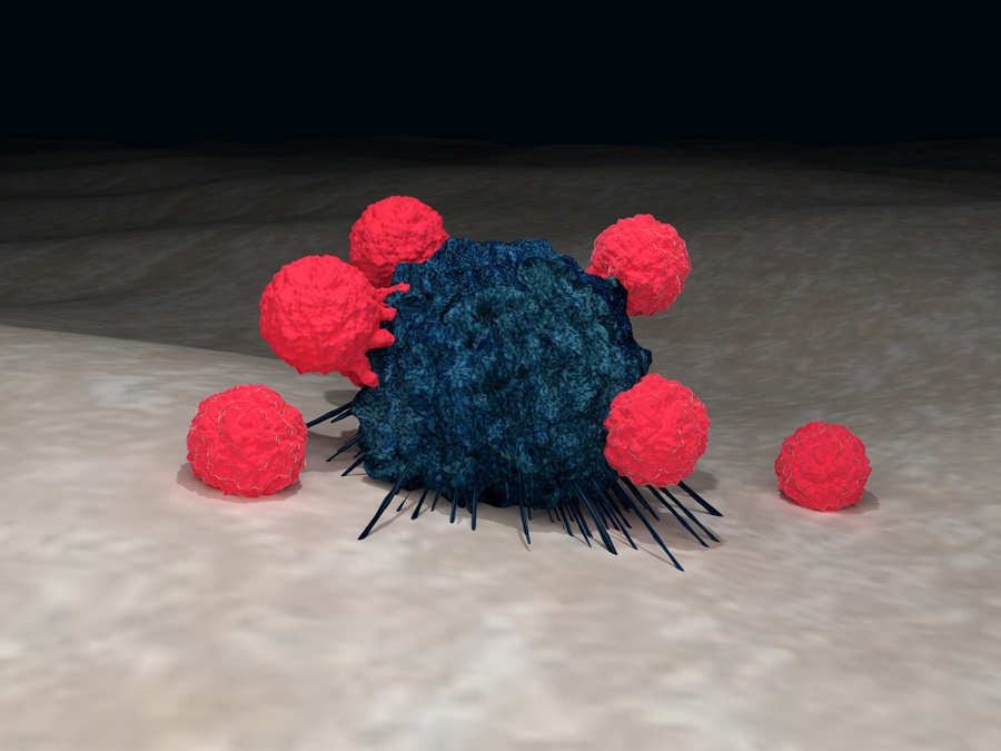 T cells attacking a cancer cell in cancer immunotherapy