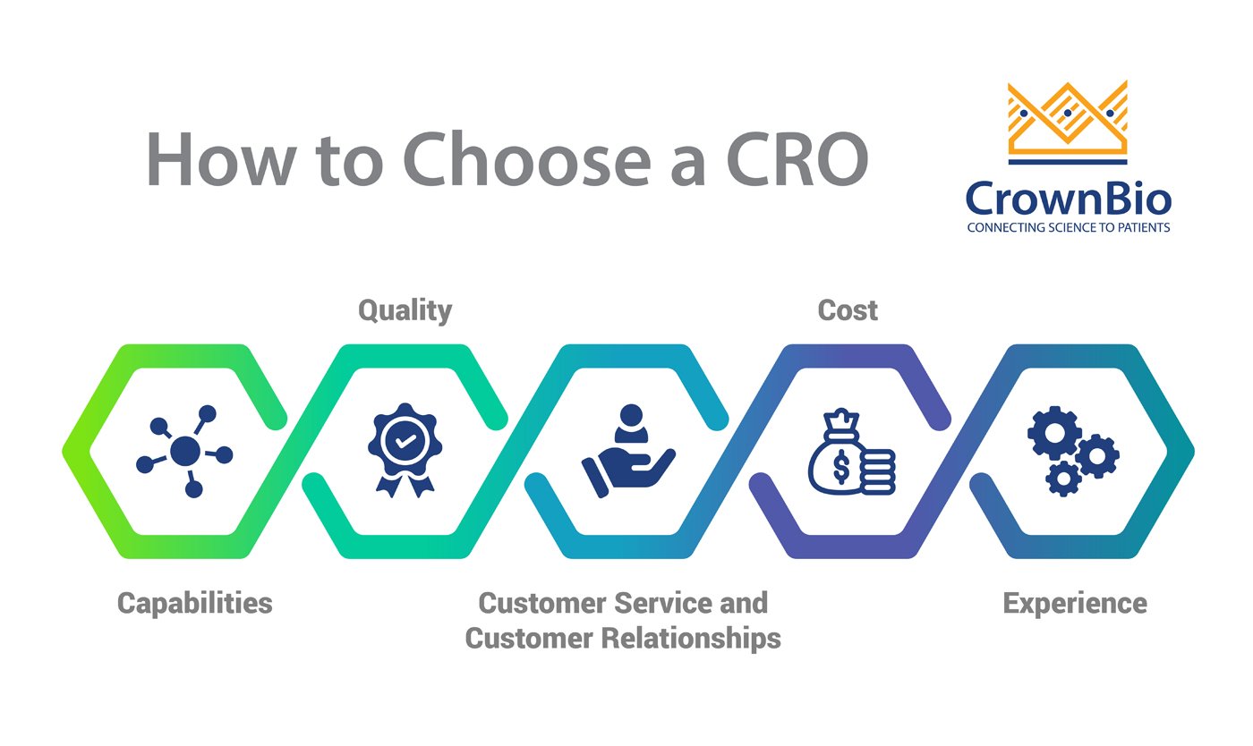 How to choose a contract research organization, main CRO features including experience, quality, and capabilities
