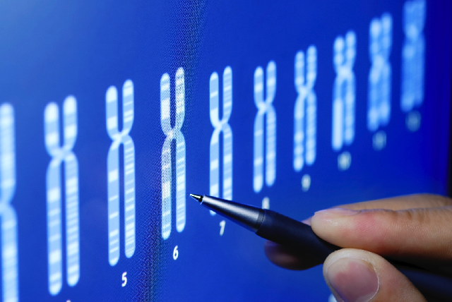 Whole Genome Sequencing Explains Mechanisms of Resistance of High-Grade Serous Ovarian Cancer