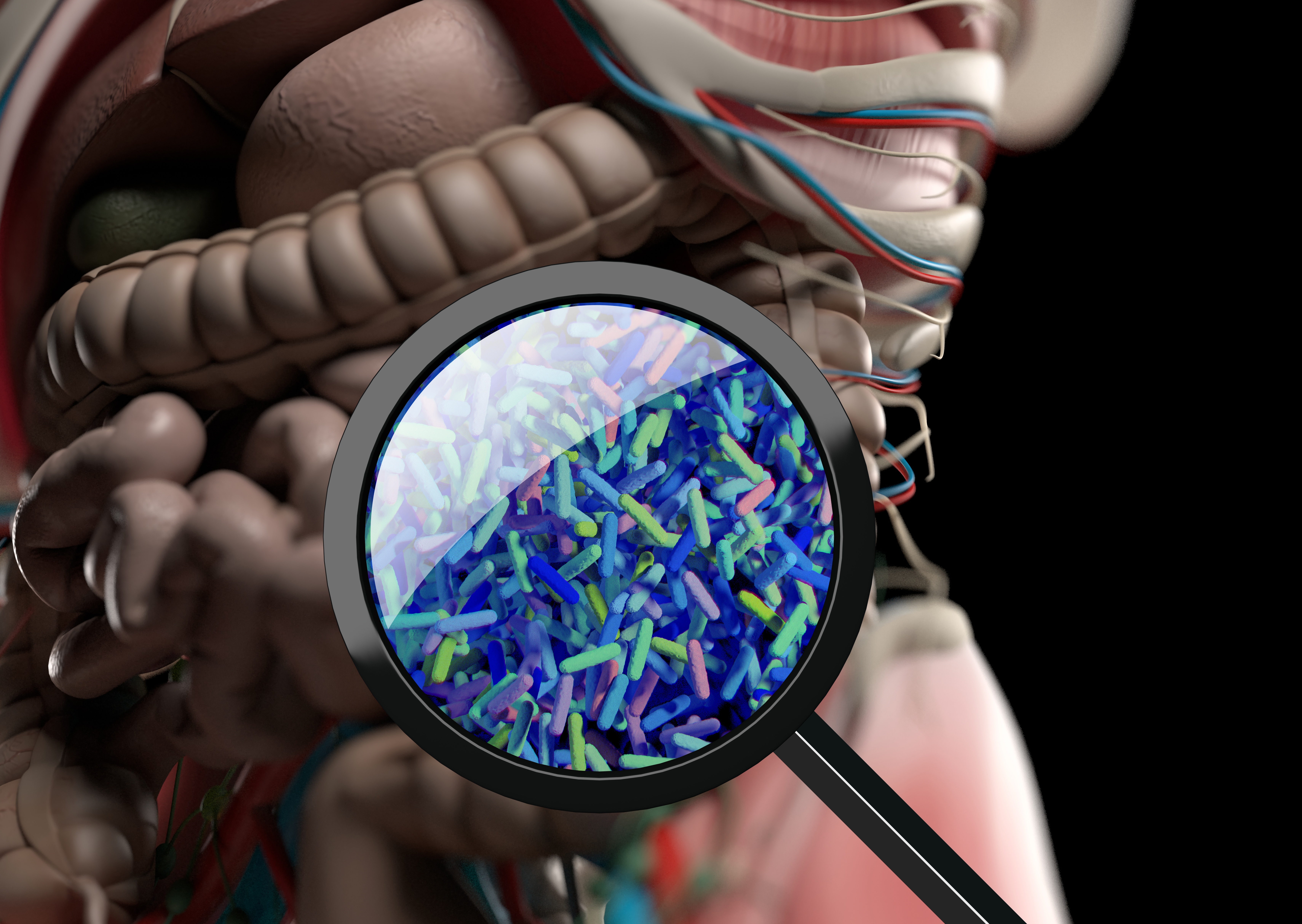 The Role of Gut Microbiota and Implications for IBD