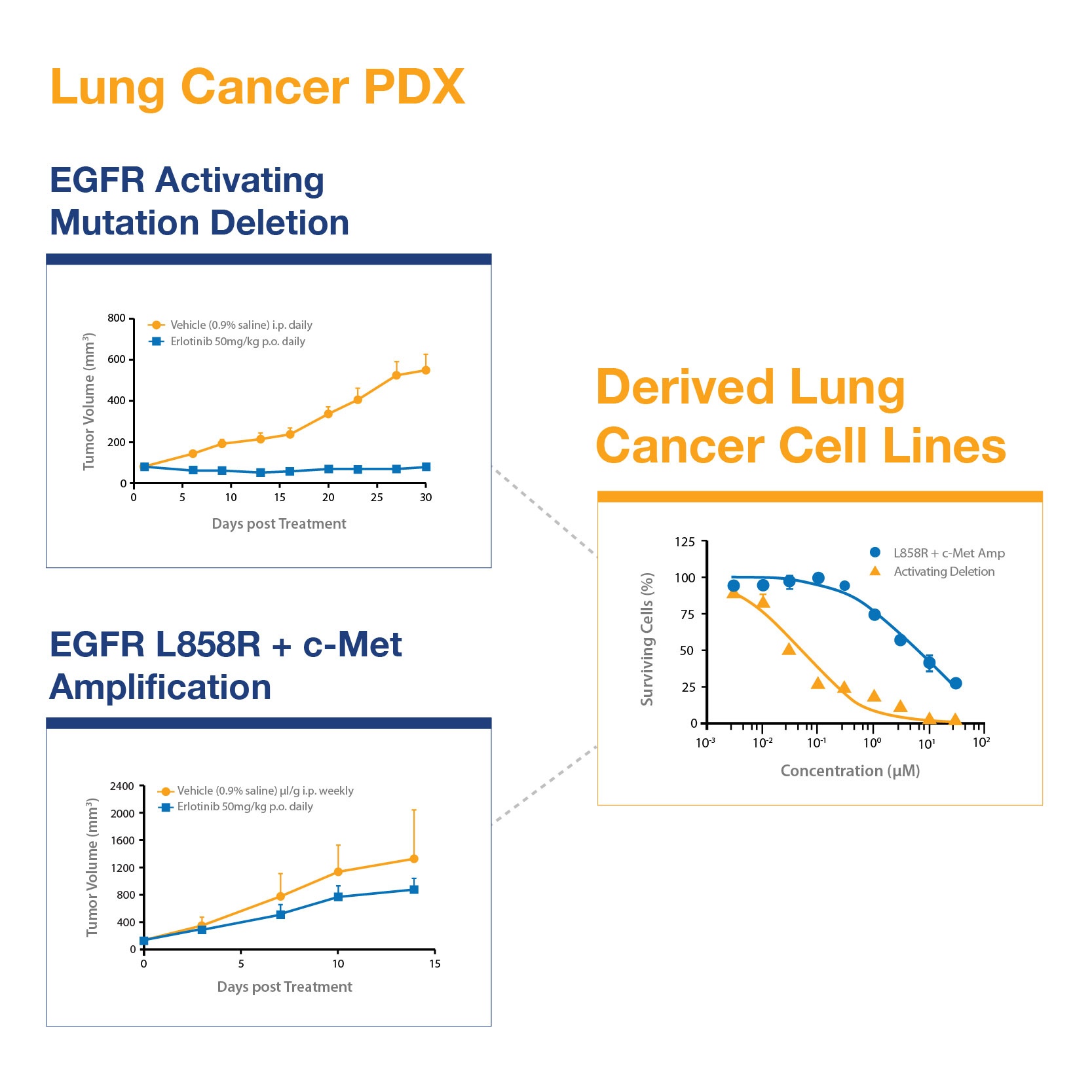 How Patient Derived Tumor Grafts (PDX) Accelerate Early Drug Development