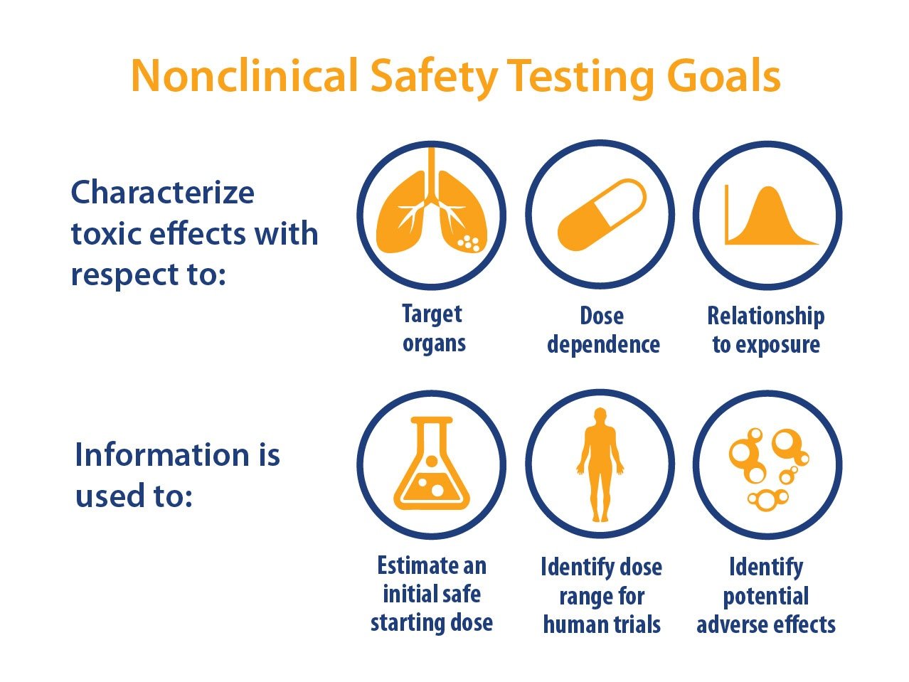 How to Optimize your Non GLP Toxicology Studies