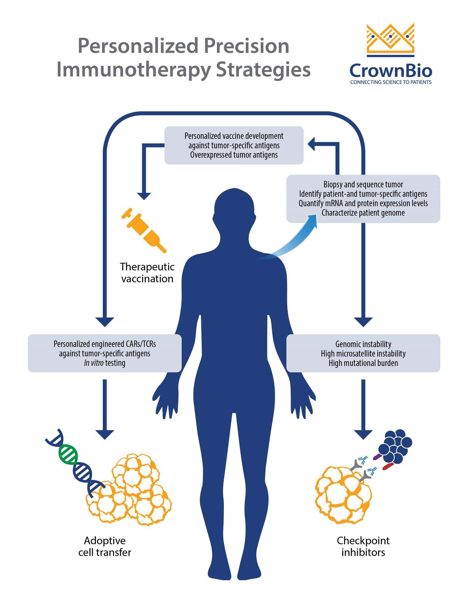 cancer treatment immunotherapy