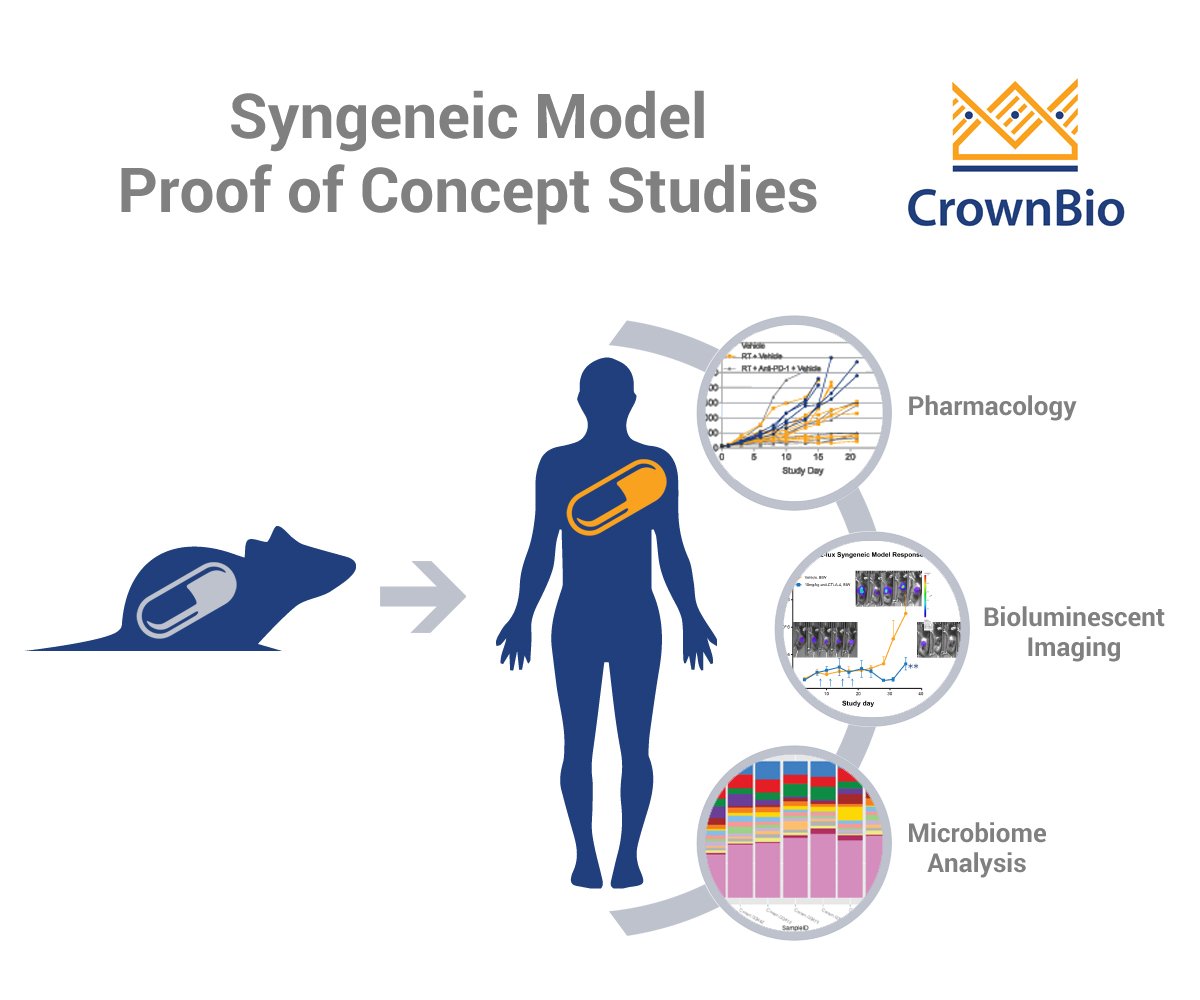 examples of proof of concept studies (poc studies) performed with syngeneic tumor models