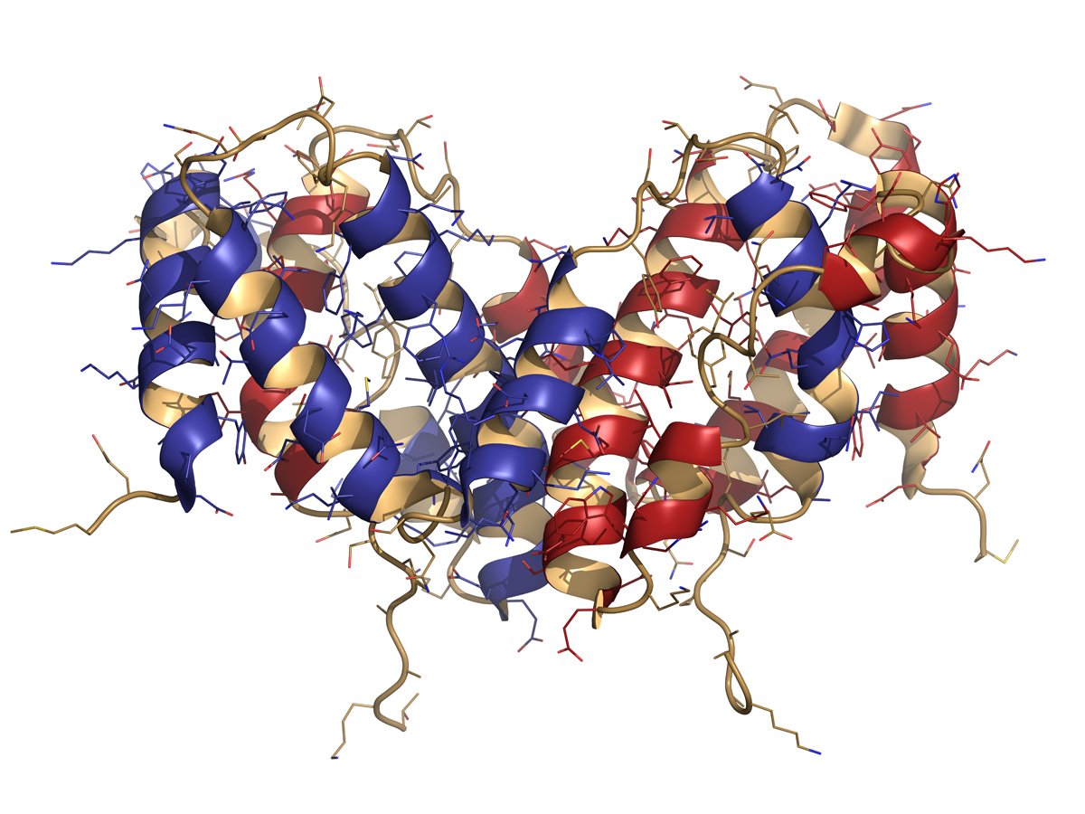 representative protein structure