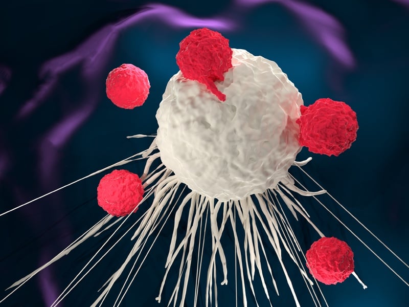 Cancer cell and t cell, immunotherapy immuno-oncology humanized mouse model comparison, HSC, PBMC