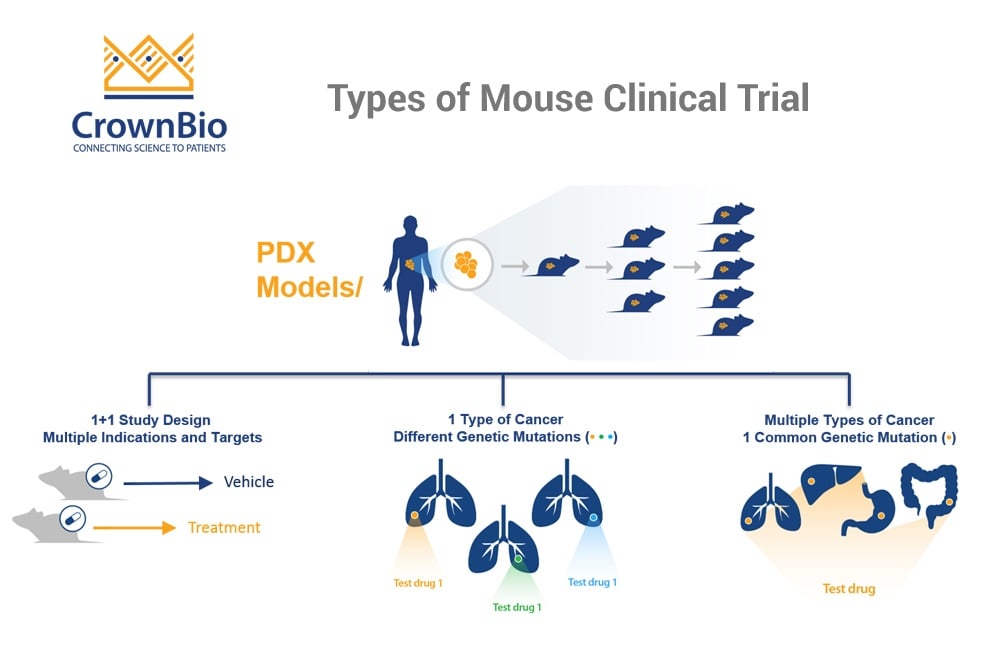 How to Choose the Right Type of Mouse Clinical Trial