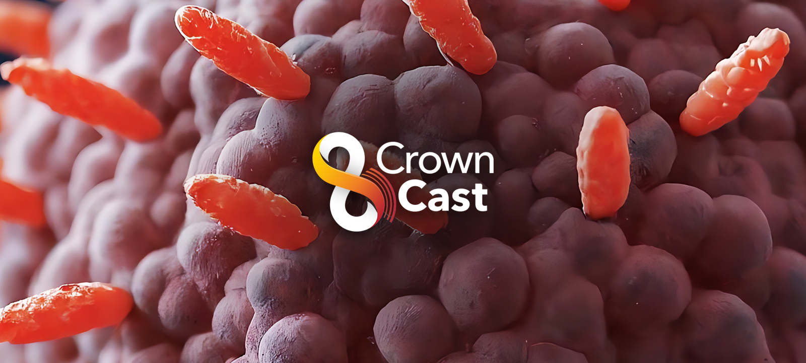 Preclinical CRO Evolution: Insights from on Industry Transformation