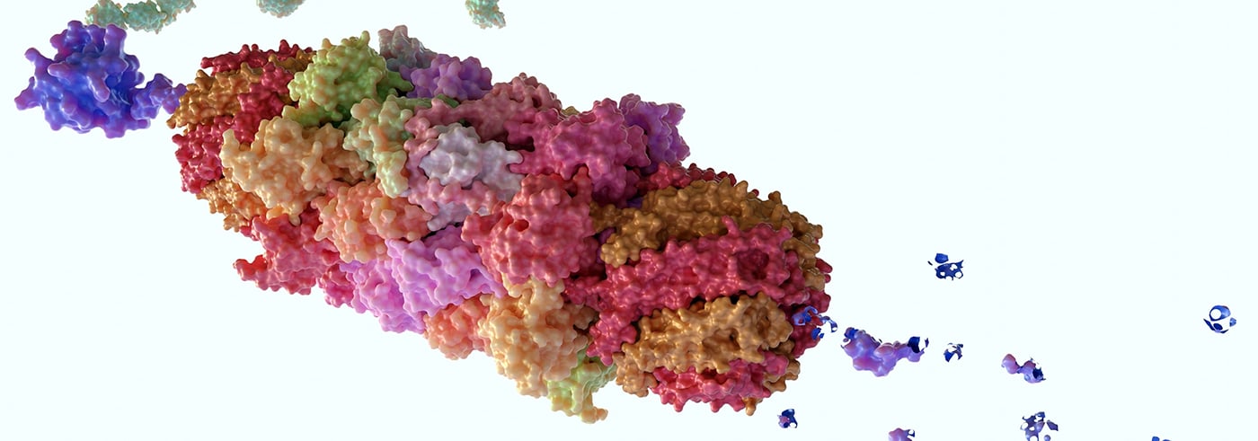 Targeted Protein Degradation with PROTACs and Molecular Glues